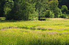 Pegnitztal - Zum Vergroessern klicken!